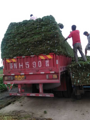 橋頭直達(dá)荊州市 物流回程車與普通道路貨物運(yùn)輸代理服務(wù)解析